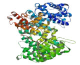 Centrosomal Protein 112kDa (CEP112)