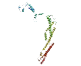 Centrosomal Protein 128kDa (CEP128)