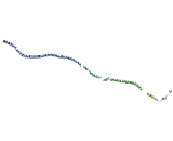 Centrosomal Protein 135kDa (CEP135)