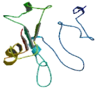 Centrosomal Protein 19kDa (CEP19)