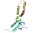 Nephrocystin 6 (NPHP6)