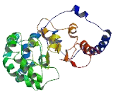 Centrosomal Protein 44kDa (CEP44)