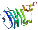 Centrosomal Protein 72kDa (CEP72)