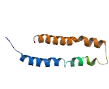 Centrosomal Protein 76kDa (CEP76)