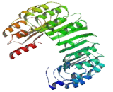 Centrosomal Protein 78kDa (CEP78)