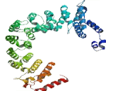 Centrosomal Protein 85kDa (CEP85)