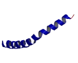 Centrosome And Spindle Pole Associated Protein 1 (CSPP1)