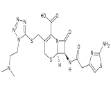 Cefotiam (CFT)