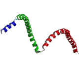 Cerebellar Degeneration Related Protein 2 (CDR2)