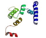 Cerebellar Degeneration Related Protein 2 Like Protein (CDR2L)