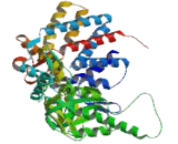 Chaperonin Containing TCP1, Subunit 4 (CCT4)