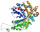 Chaperonin Containing TCP1, Subunit 5 (CCT5)