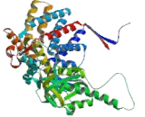 Chaperonin Containing TCP1, Subunit 6B (CCT6B)