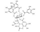 Chebulagic Acid (CA)