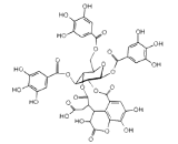 Chebulinic Acid (CA)