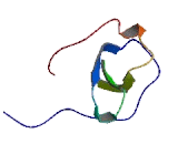 Chemokine C-C-Motif Ligand 1 (CCL1)