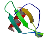 Chemokine C-C-Motif Ligand 16 (CCL16)