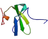 Chemokine C-C-Motif Ligand 3 Like Protein 1 (CCL3L1)