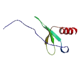 Chemokine C-C-Motif Ligand 4 Like Protein 2 (CCL4L2)