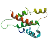 Chemokine C-C-Motif Receptor Like Protein 1 (CCRL1)