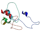 Chemokine C-C-Motif Receptor Like Protein 2 (CCRL2)