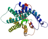 Chemokine C-X3-C-Motif Receptor 1 (CX3CR1)