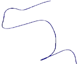 Chemokine Like Factor Superfamily 4 (CKLFSF4)