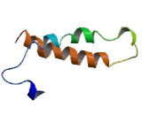 Chemokine Like Receptor 1 (CMKLR1)