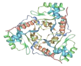 Chloramphenicol Acetyltransferase (CAT)