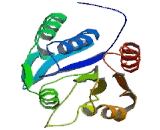 Chloride Channel Accessory 1 (CLCA1)