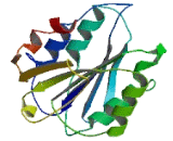 Chloride Channel Accessory 4 (CLCA4)