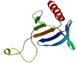 Chloride Channel Protein, Nucleotide Sensitive 1A (CLNS1A)