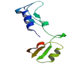 Chloride Channel Protein 6 (CLCN6)