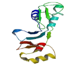 Chloride Channel Protein 7 (CLCN7)