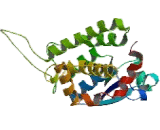 Chloride Intracellular Channel Protein 1 (CLIC1)