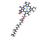 Chlorophyll a (Chla)