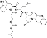 Cholecystokinin 5 (CCK5)