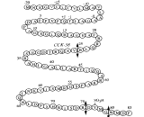 Cholecystokinin 58 (CCK58)