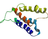 Cholecystokinin B Receptor (CCKBR)