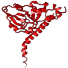 Cholera enterotoxin subunit A (CTA)