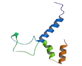 Cholesterol-25-Hydroxylase (CH25H)