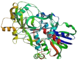 Choline Dehydrogenase (CHDH)