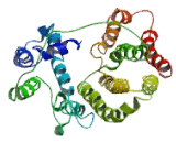 Choline/Ethanolamine Phosphotransferase 1 (CEPT1)