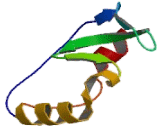 Choline Transporter Like Protein 1 (CTL1)