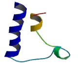 Choline Transporter Like Protein 3 (CTL3)