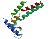 Choline Transporter Like Protein 5 (CTL5)