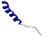 Cholinergic Receptor, Muscarinic 2 (CHRM2)