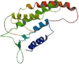 Cholinergic Receptor, Muscarinic 4 (CHRM4)