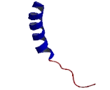 Cholinergic Receptor, Muscarinic 5 (CHRM5)