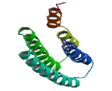 Cholinergic Receptor, Nicotinic, Beta 1 (CHRNb1)